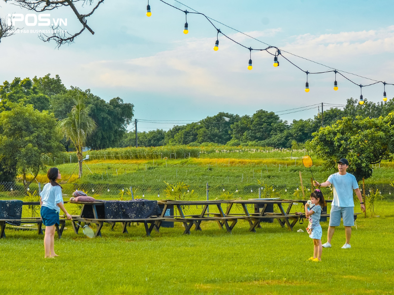 Cafe camping là gì