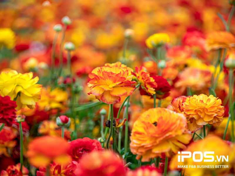 kinh doanh tết 2024