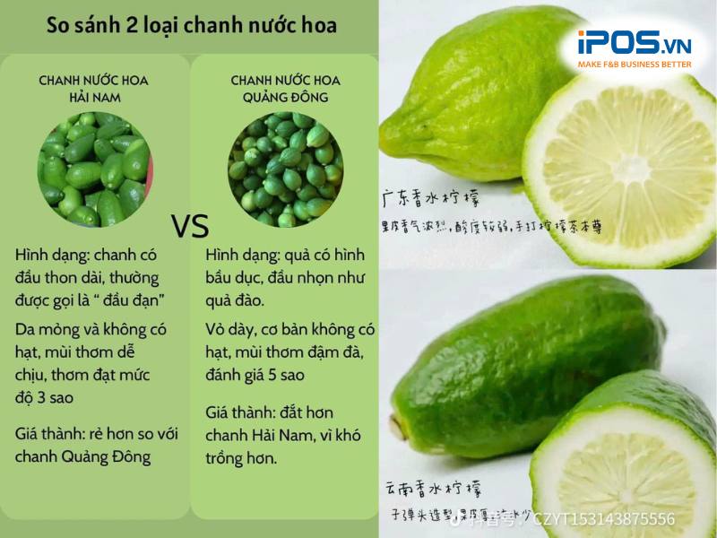 Bí quyết để có món trà chanh giã tay nằm ở nguyên liệu chanh nước hoa