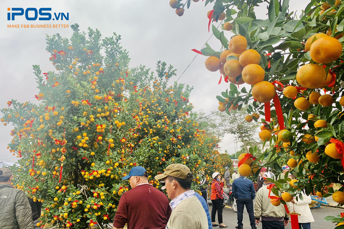 Cây cảnh chơi Tết là mặt hàng bán chạy không kém để kinh doanh Tết 2024
