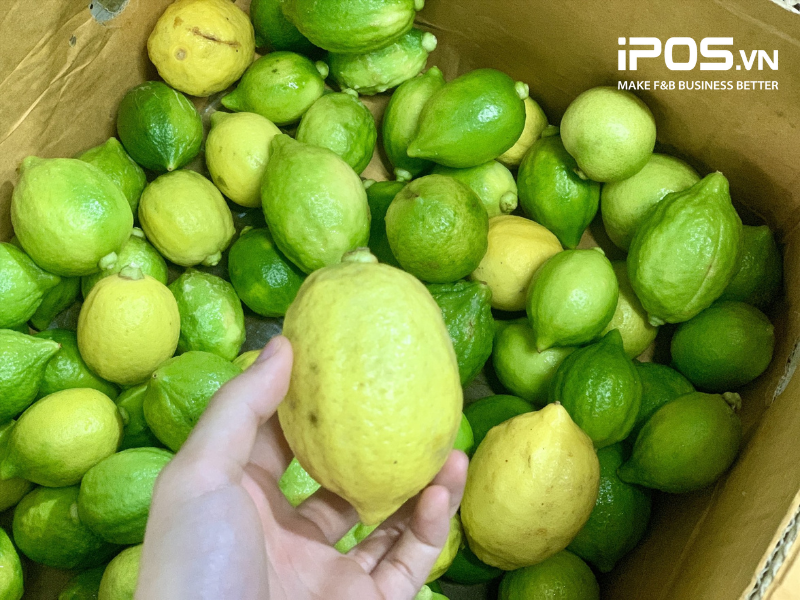 Kinh doanh trà chanh giã tay cần nhập được nguyên liệu chanh Quảng Đông